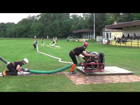 27.6.2015 Radošovce - DHZ Letničie 1.pokus