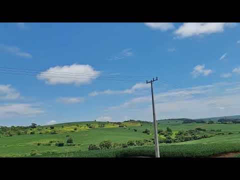 Sitio à venda de 16 alqueires plantando 15 alqueires em Primeiro de Maio PR