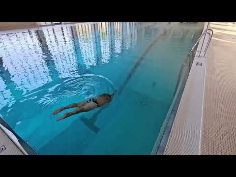 Distance diving for beginners and advanced divers - DRSA preparation