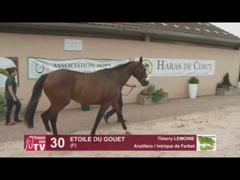Concours AQPS Cercy 2016 Lot 30 : ETOILE DU GOUET