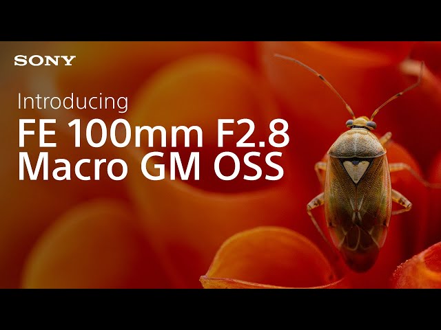 Vidéo SONY FE 100 mm f/2,8 Macro G Master OSS