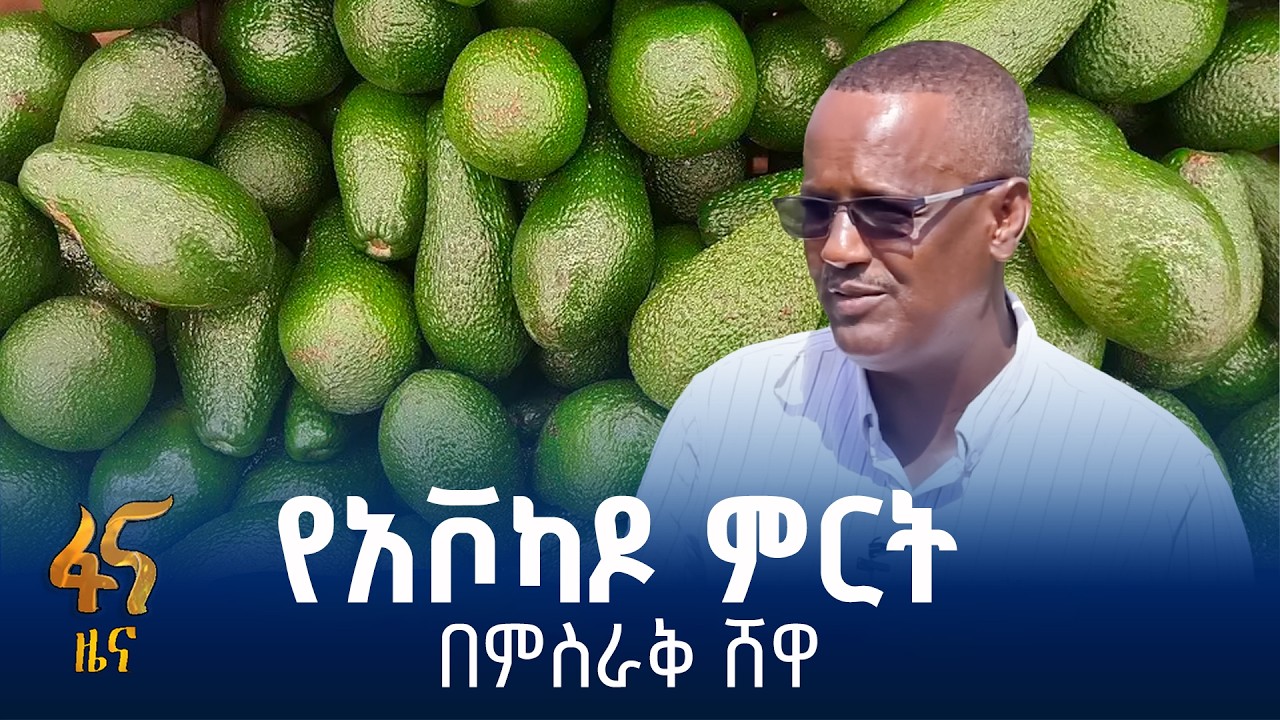 የአረንጓዴ ዐሻራ ውጤት