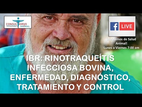 , title : 'IBR: RINOTRAQUEITIS INFECCIOSA BOVINA'