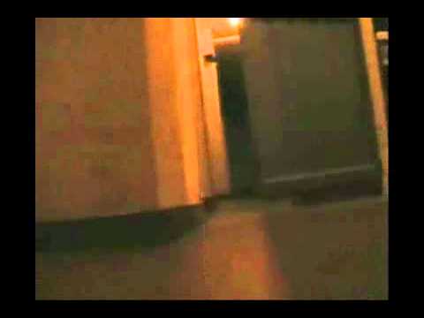 Piero Filoni - Il Topo