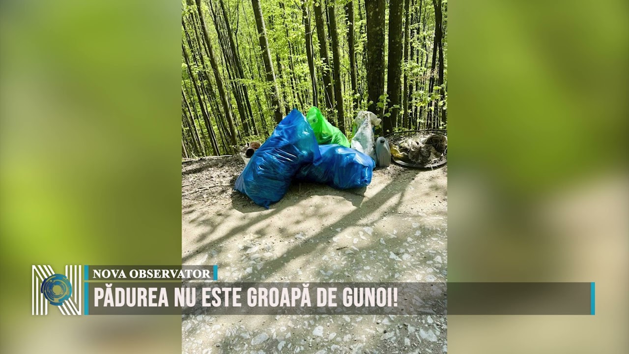 Pădurea nu este groapă de gunoi!