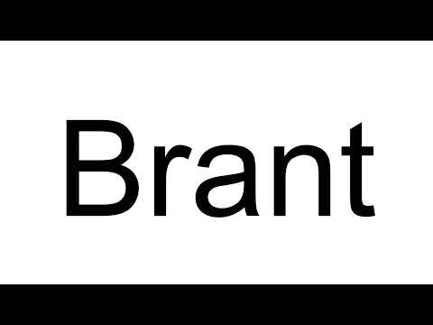 How to Pronounce Brant ( English )