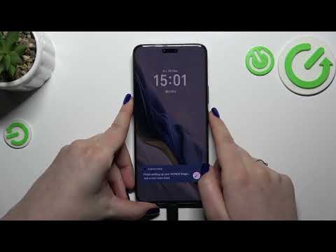 Secure Backup: Google Backup on Honor Magic 6 Pro