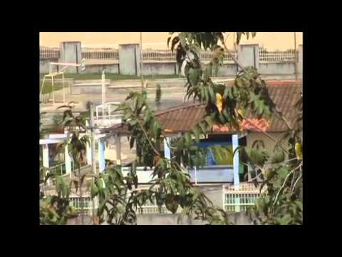 Zapatoca.net - Zapatoca.net -