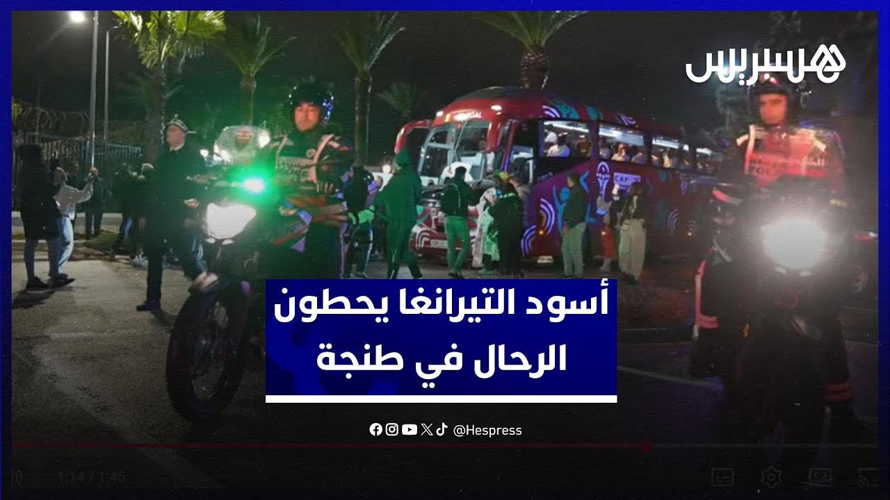 أسود التيرانغا يحطون الرحال في طنجة للمشاركة في الكان thumbnail