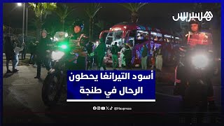 أسود التيرانغا يحطون الرحال في طنجة للمشاركة في الكان thumbnail