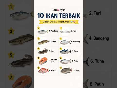 10 Ikan Terbaik untuk Otak dan Tinggi Anak, Nomor 1 dan 3 Murah Meriah! #ibudanayah