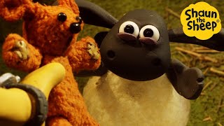 Download lagu Shaun the Sheep 🐑 Timmy & Friend's Secret Hideout 😲🥳 Full Episodes Compilation [1 hour] mp3