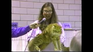 Etoile du Nord 2000 Cat Show