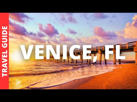 Venice Florida Travel Guide: 17 BEST Things To Do In Venice FL