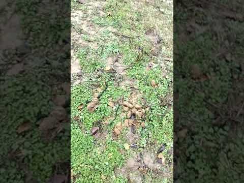 cu bicicleta la stavilar