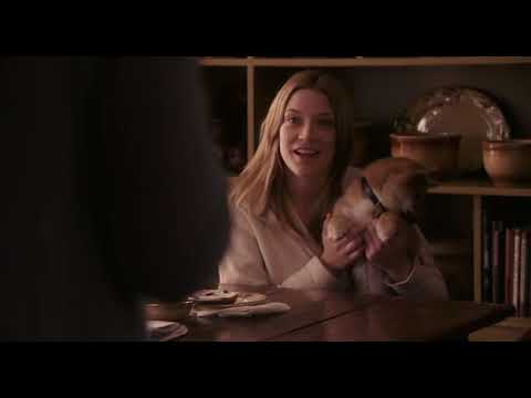 Хачико История за кучето 2009 online filmi