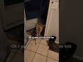 Surprise Visitor During Tornado Warning 🥹 ️
