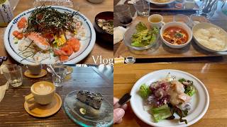 【vlog】ぱんだの日常🥗！食の生活｜所沢」