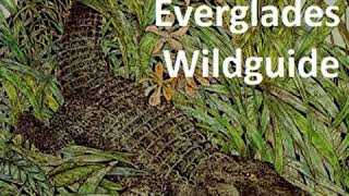 Everglades Wildguide by Jean Craighead GEORGE read by VfkaBT | Full Audio Book