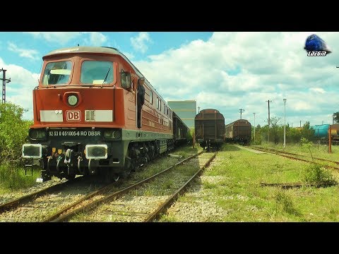 BR232 Ludmilla 65-1009-8 la Manevră/Shunting in Gara Episcopia Bihor Station - 06 May 2020