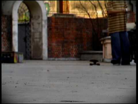 sunny day with Bartek Piasecki