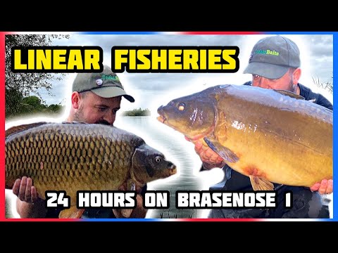 24 Hours Fishing On Brasenose One! New PB At Linear Fisheries!
