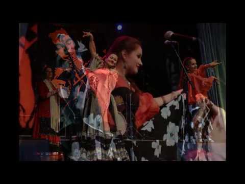 Hildesheimer Django Reinhardt Festivals  Impressionen -