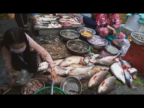 Natural Life In Cambodian Market - Various Foods In Phnom Penh - Village Food View