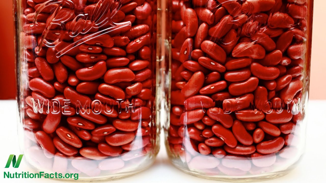 Which Type of Protein Is Better for Our Kidneys?