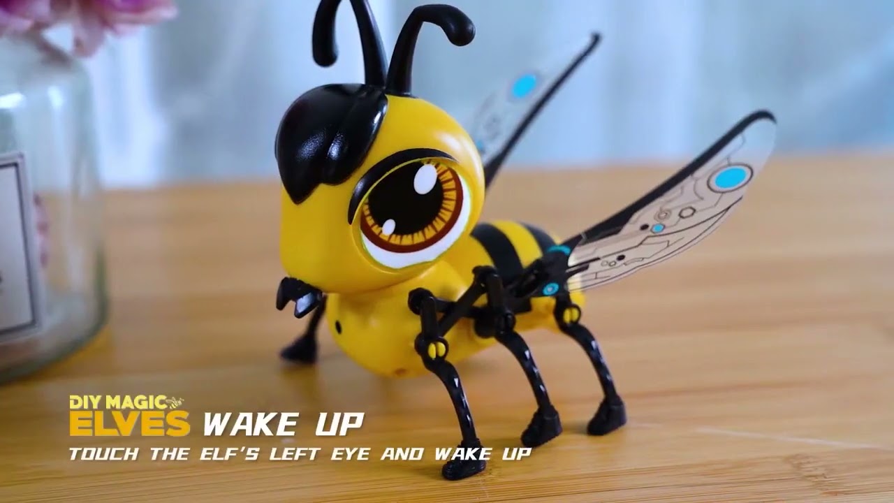 Interaktív roboDongo robot videó