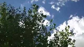 This or the Apocalypse