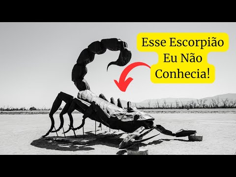 Os 5 Escorpiões mais perigosos do mundo