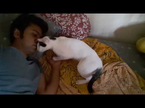 GRU sleeps with papa.