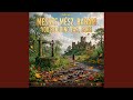 You're going far, babe (reggae, version)