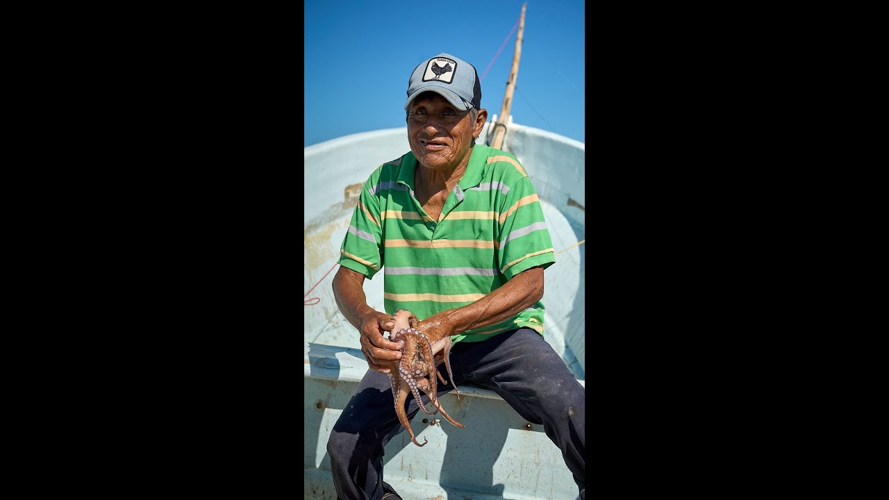 Mexican octopus fishing is truly an art!