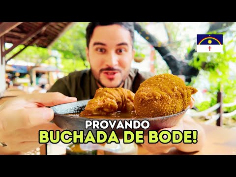 TASTING GOAT STOVETOP IN RECIFE