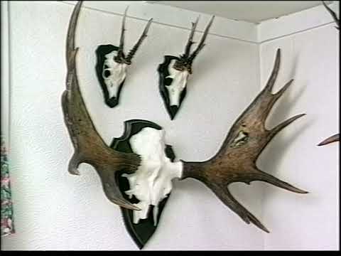 Dianas stigar - Jakt på hare och hjort