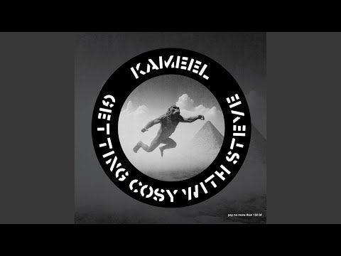 Getting Cosy with Steve (feat. Steve Ignorant & Buscemi) (Reworked from "Who d’You Think...