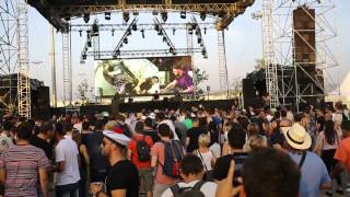 Kölsch - Goldfisch - KOLORZ