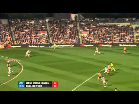 Great Dane Swan's return - AFL