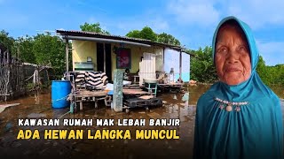 Download lagu Kawasan Rumah Mak Lebah Terendam Banjir.. Ada Hewan Langka Muncul ke Permukaan mp3