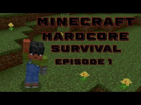 Insane Minecraft Hardcore Survival! Episode 1