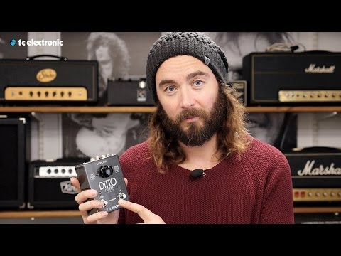 Ditto X2 Looper  - official product video