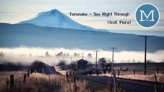 Tensnake - See right through (feat. Fiora)