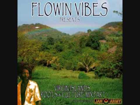VIRGIN ISLANDS ROOTS AND CULTURE MIX PART 1 - MIXED BY FLOWIN VIBES