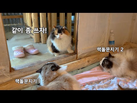온돌방 출입이 쉽지 않다.