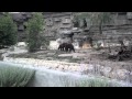 Black Bears At The Detroit Zoo