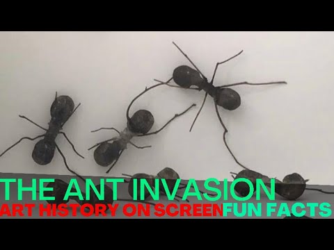 The Colombian Ant Invasion at The Saatchi Gallery, London | Art History On Screen