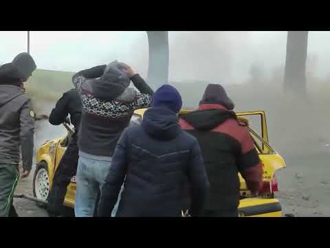 Rally Cars VS Trees #fail#rally#crash#tree#subaru#peugeot#bmw#audi