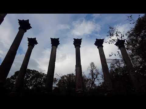 Exploring the Ruins of the Windsor Mansion Tragically Beautiful